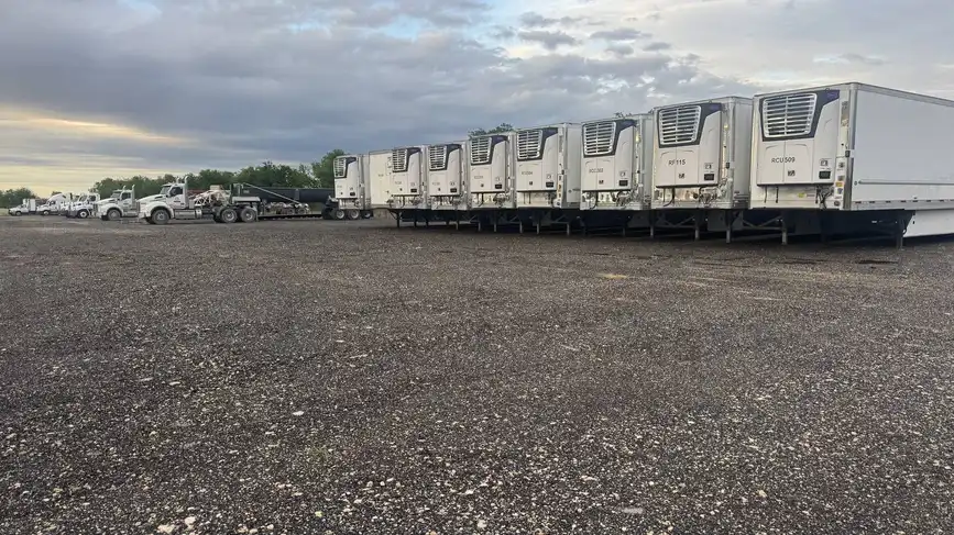 Row of refrigerated trailers at Dziuks fleet parking